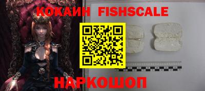 индика Кингисепп