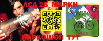 индика Кингисепп