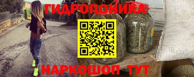 индика Кингисепп