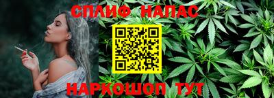 индика Кингисепп