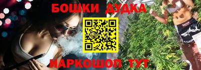 индика Кингисепп