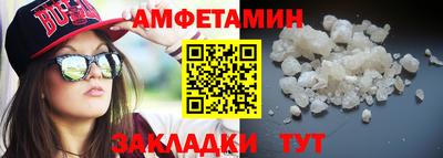 индика Кингисепп