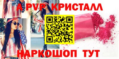 индика Кингисепп