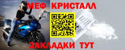 индика Кингисепп