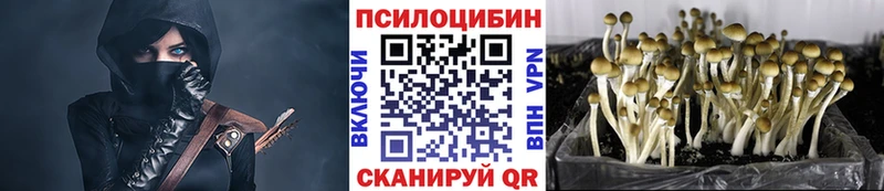 Псилоцибиновые грибы MAGIC MUSHROOMS  Петропавловск-Камчатский 