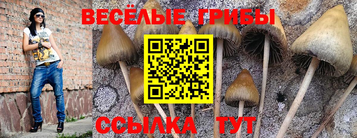 Амфетамин Петропавловск-Камчатский