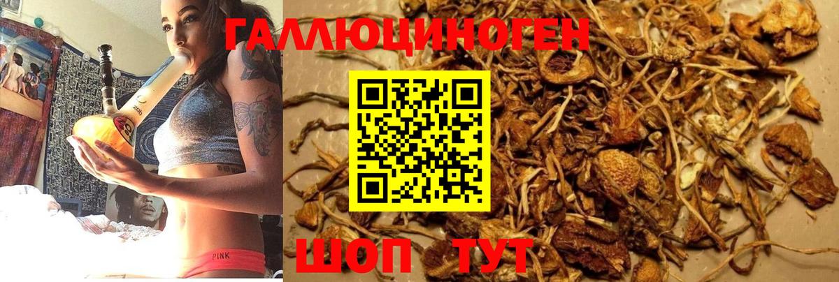 Псилоцибиновые грибы мицелий Петропавловск-Камчатский